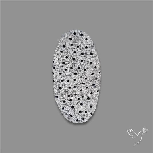 Blue Sponge Coral Raw Face