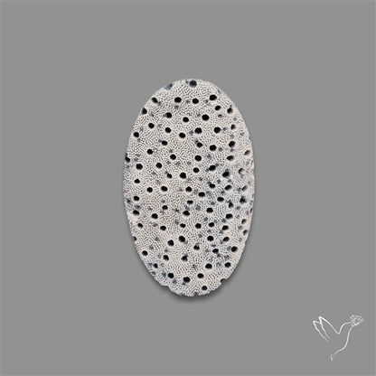 Blue Sponge Coral Raw Face
