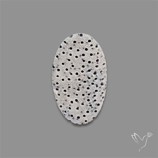 Blue Sponge Coral Raw Face