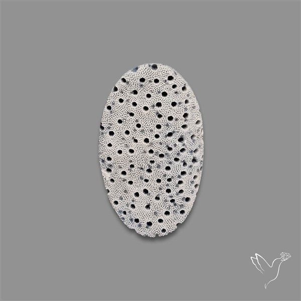 Blue Sponge Coral Raw Face