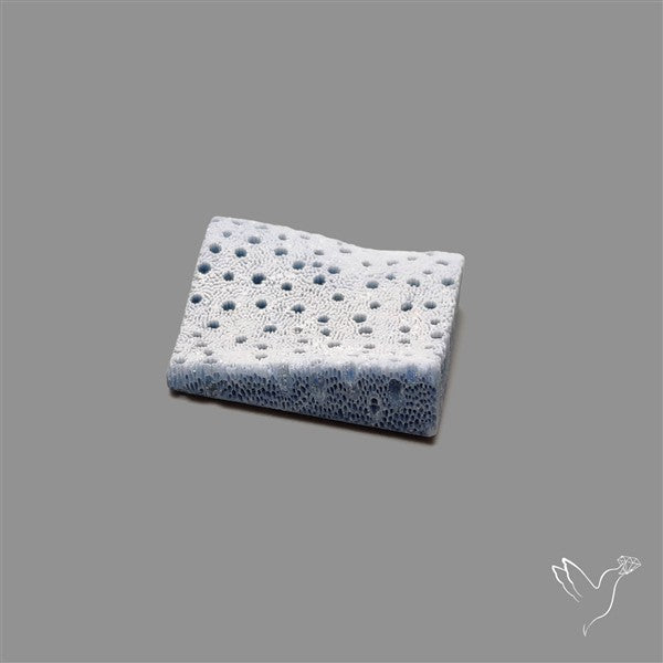 Blue Sponge Coral Raw Face