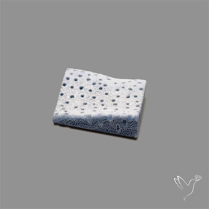 Blue Sponge Coral Raw Face
