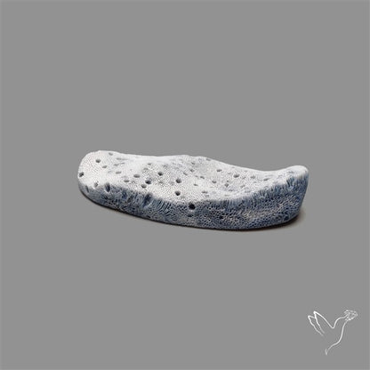 Blue Sponge Coral Raw Face