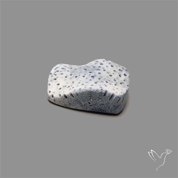 Blue Sponge Coral Raw Face