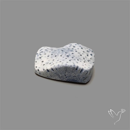 Blue Sponge Coral Raw Face