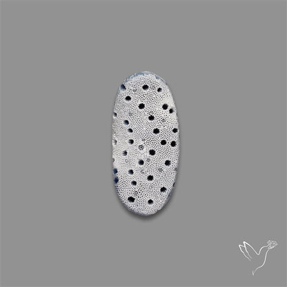 Blue Sponge Coral Raw Face