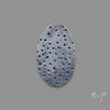 Blue Sponge Coral Raw Face