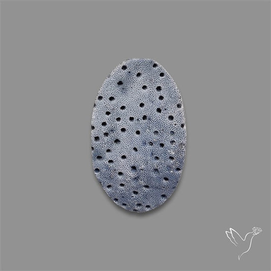 Blue Sponge Coral Raw Face