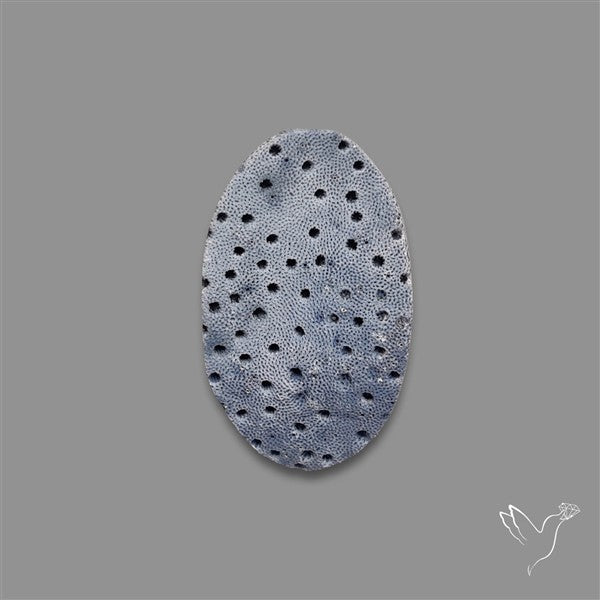 Blue Sponge Coral Raw Face