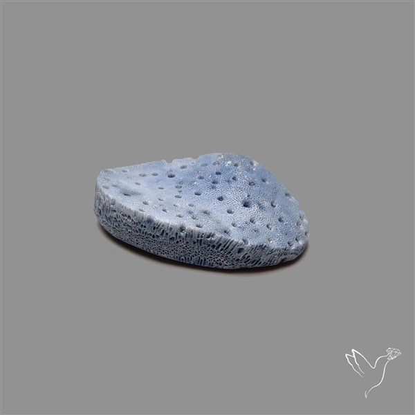 Blue Sponge Coral Raw Face