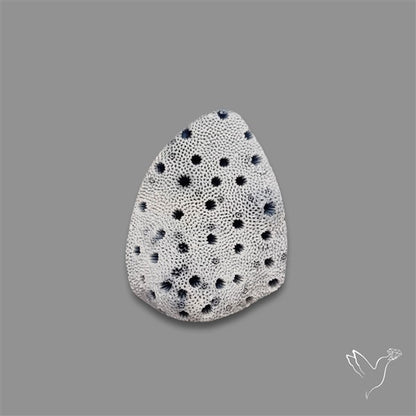 Blue Sponge Coral Raw Face