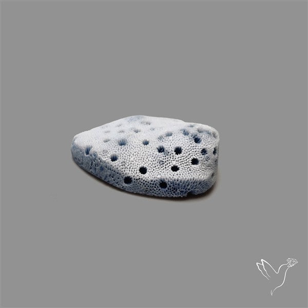 Blue Sponge Coral Raw Face