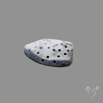 Blue Sponge Coral Raw Face