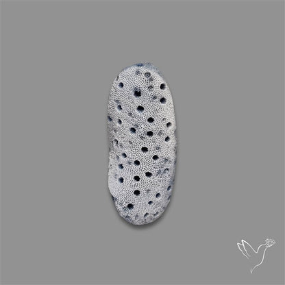 Blue Sponge Coral Raw Face