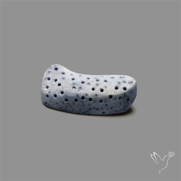 Blue Sponge Coral Raw Face