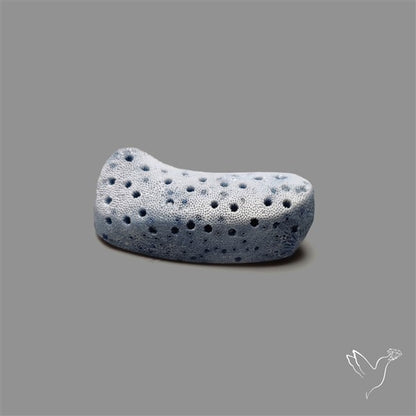 Blue Sponge Coral Raw Face