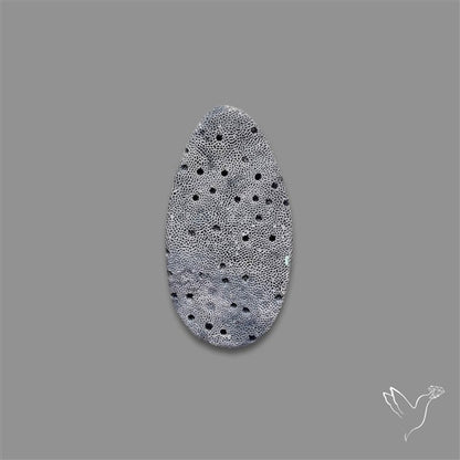 Blue Sponge Coral Raw Face