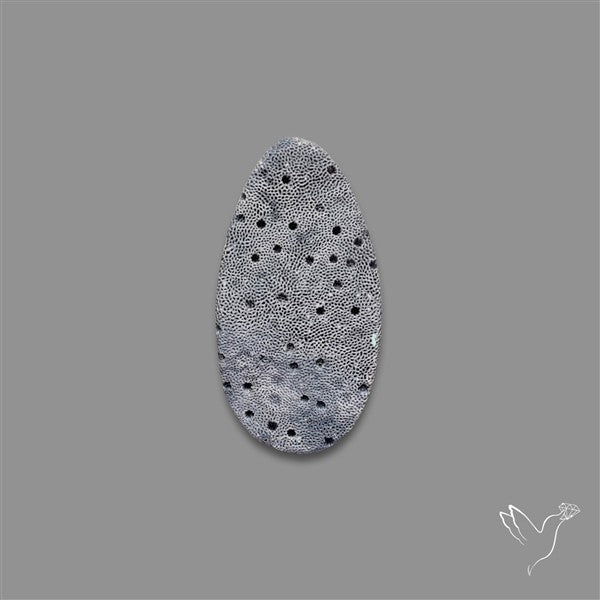 Blue Sponge Coral Raw Face