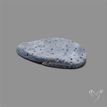 Blue Sponge Coral Raw Face