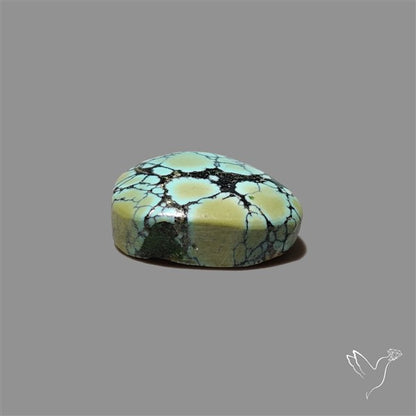 Ivory Creek Turquoise Cabochon