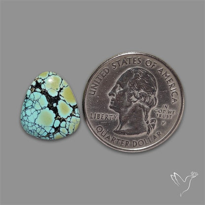 Ivory Creek Turquoise Cabochon