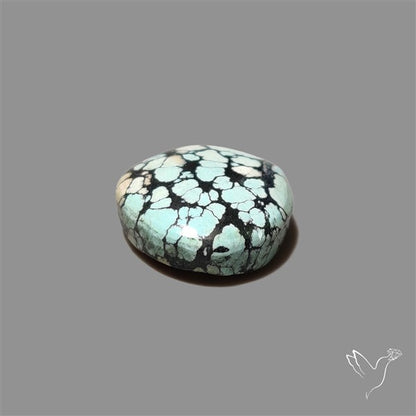 Ivory Creek Turquoise Cabochon