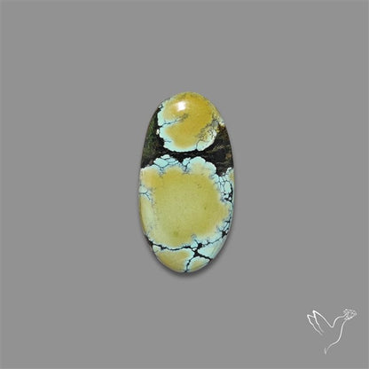 Ivory Creek Turquoise Cabochon