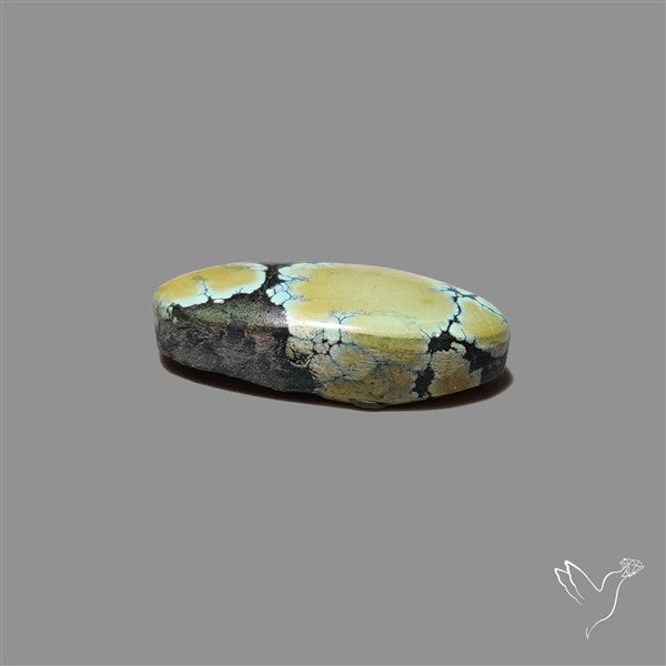 Ivory Creek Turquoise Cabochon