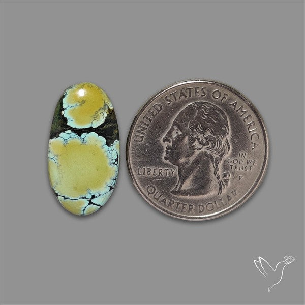 Ivory Creek Turquoise Cabochon