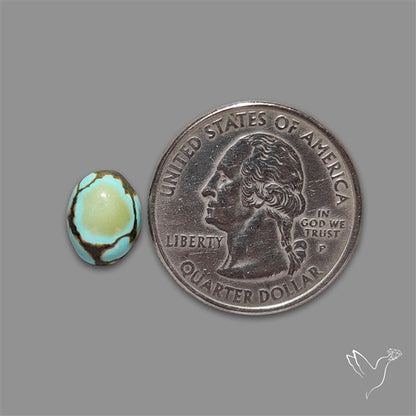 Hubei Turquoise Cabochon