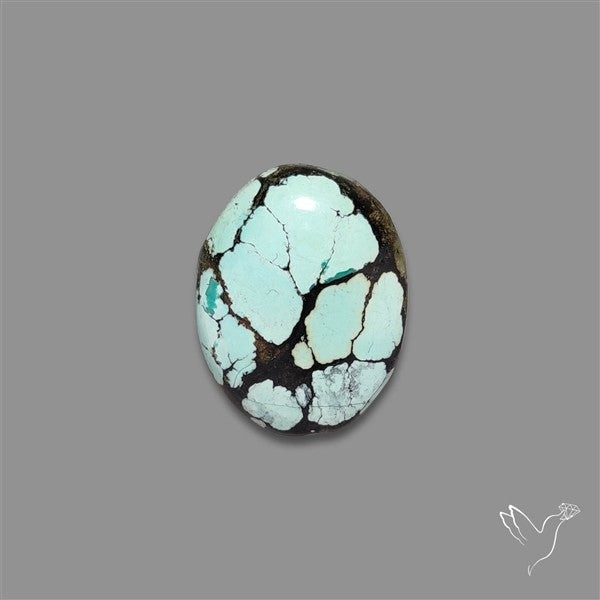 Ivory Creek Turquoise Cabochon