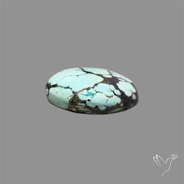 Ivory Creek Turquoise Cabochon