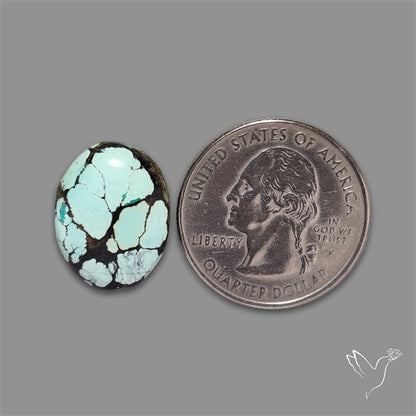 Ivory Creek Turquoise Cabochon