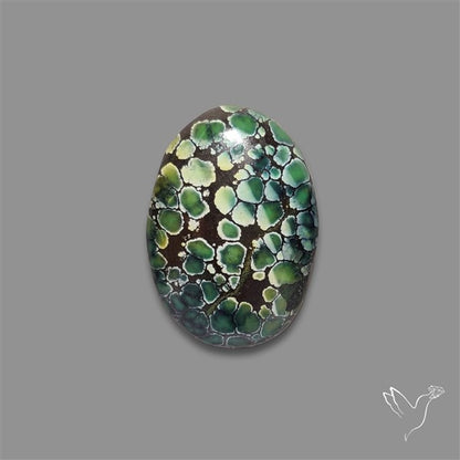 Rare Damele Variscite Cabochon