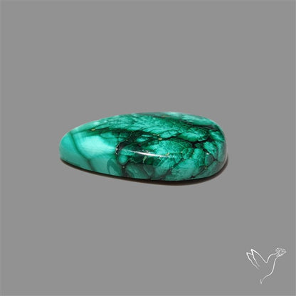 Dense Forest Malachite Cabochon
