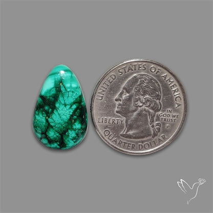 Dense Forest Malachite Cabochon