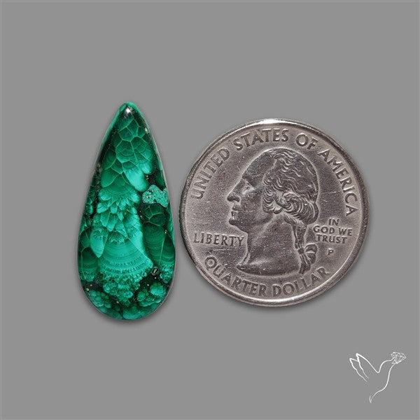 Dense Forest Malachite Cabochon