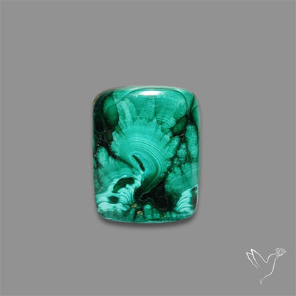 Dense Forest Malachite Cabochon