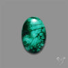 Dense Forest Malachite Cabochon