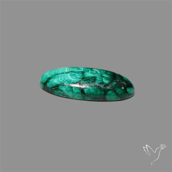Dense Forest Malachite Cabochon