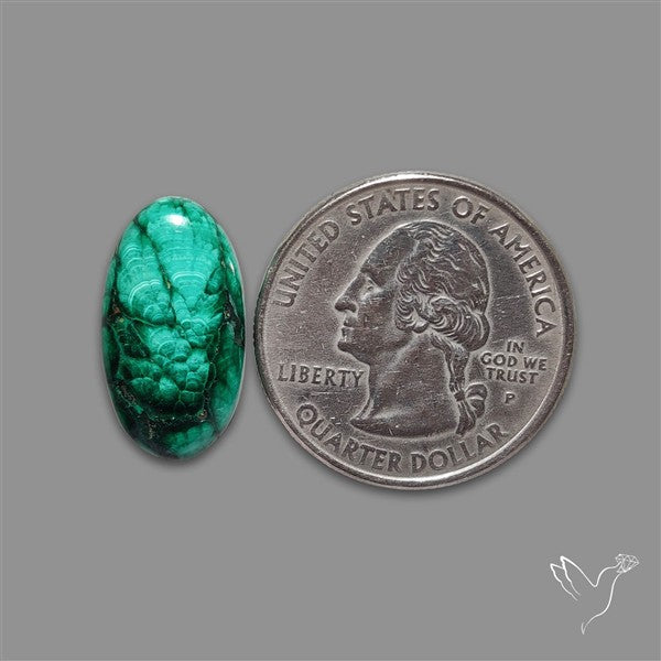 Dense Forest Malachite Cabochon
