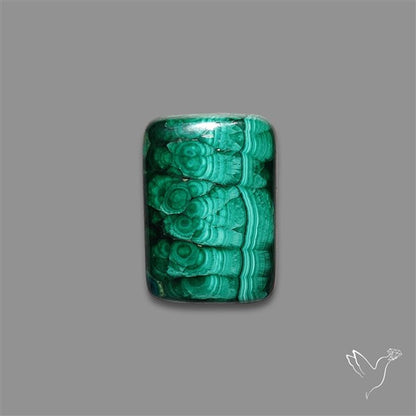 Dense Forest Malachite Cabochon