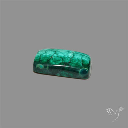 Dense Forest Malachite Cabochon