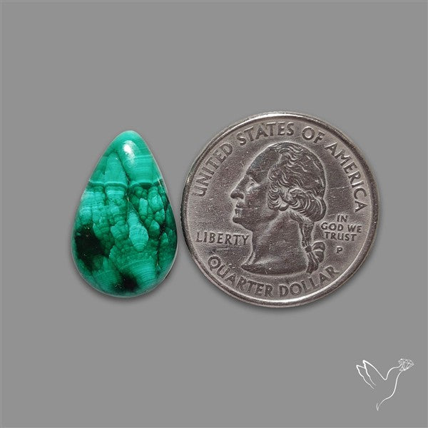 Dense Forest Malachite Cabochon