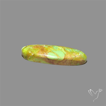 Rare Gaspeite Cabochon