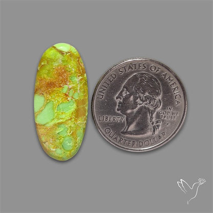 Rare Gaspeite Cabochon