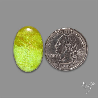 Rare Gaspeite Cabochon