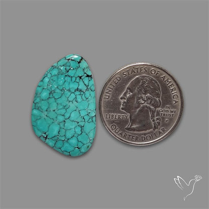 Hubei Turquoise Cabochon Thin Cut