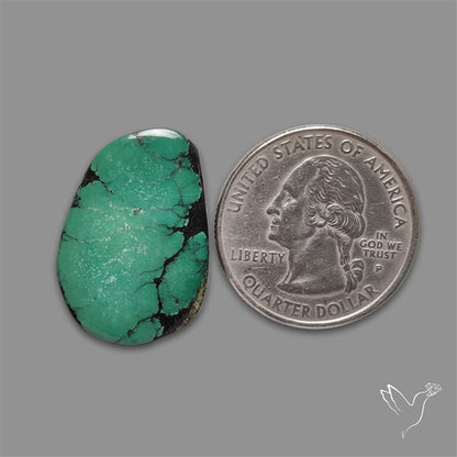 Hubei Turquoise Cabochon Thin Cut
