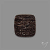 Petrified Wood Druzy